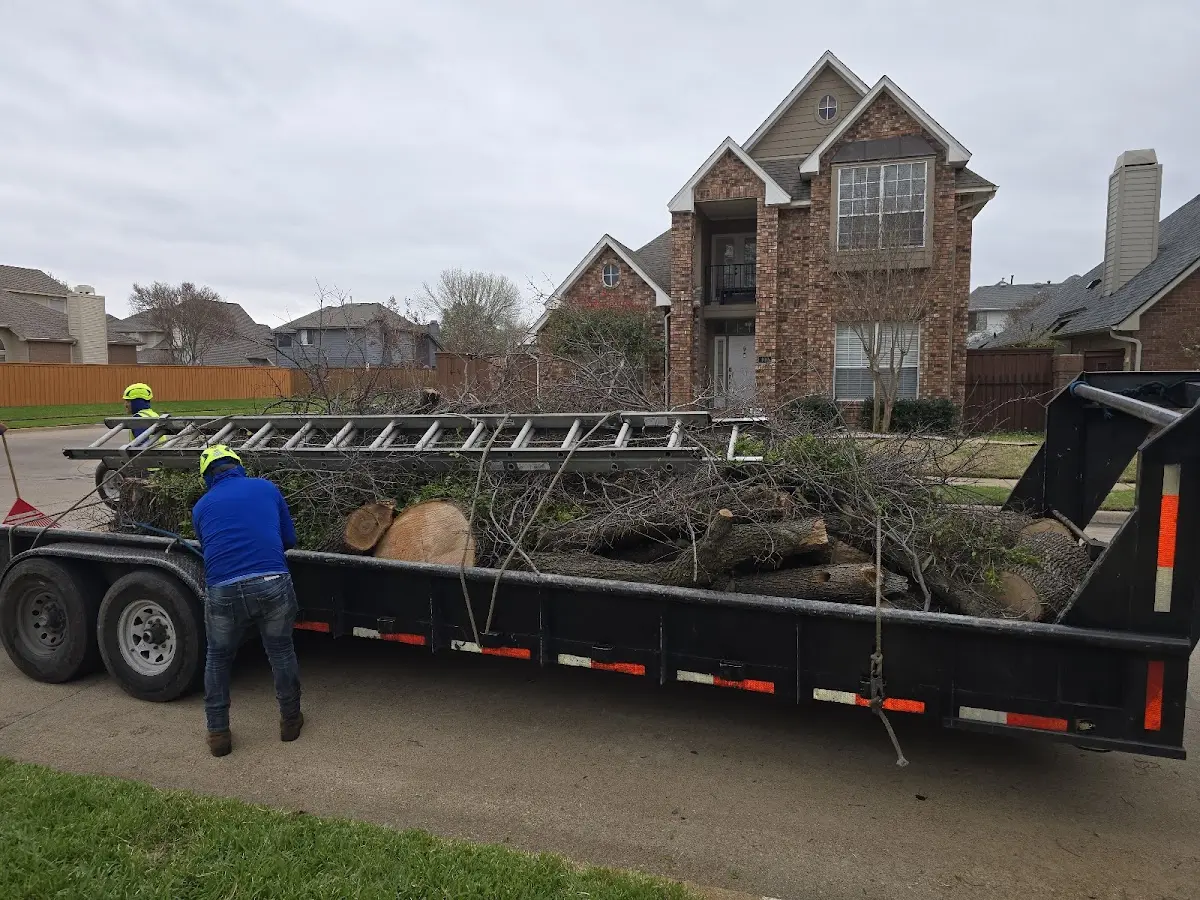 Expert Tree Pest Control with proper safety equipment in Hampton